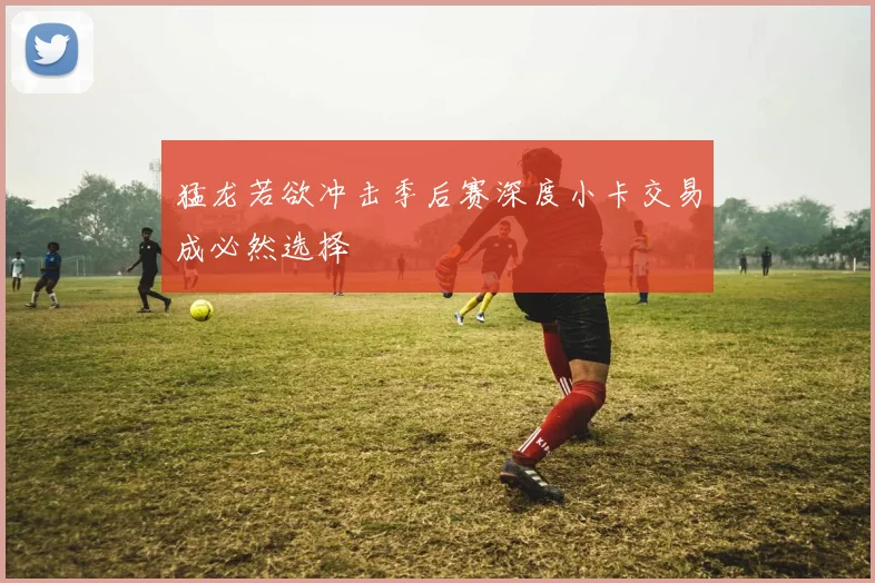 猛龙若欲冲击季后赛深度小卡交易成必然选择