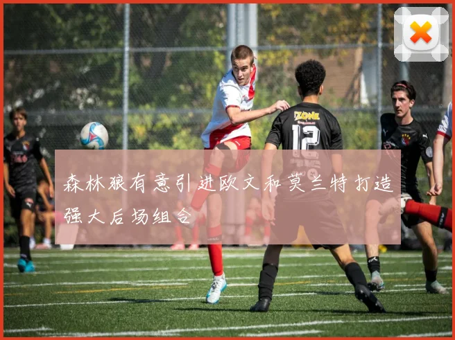森林狼有意引进欧文和莫兰特打造强大后场组合
